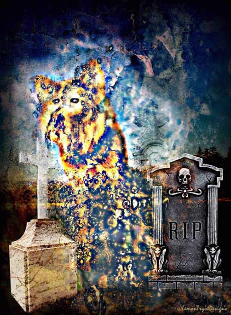ghostly dog